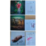 Digitale Kunst_1c_5.JPG